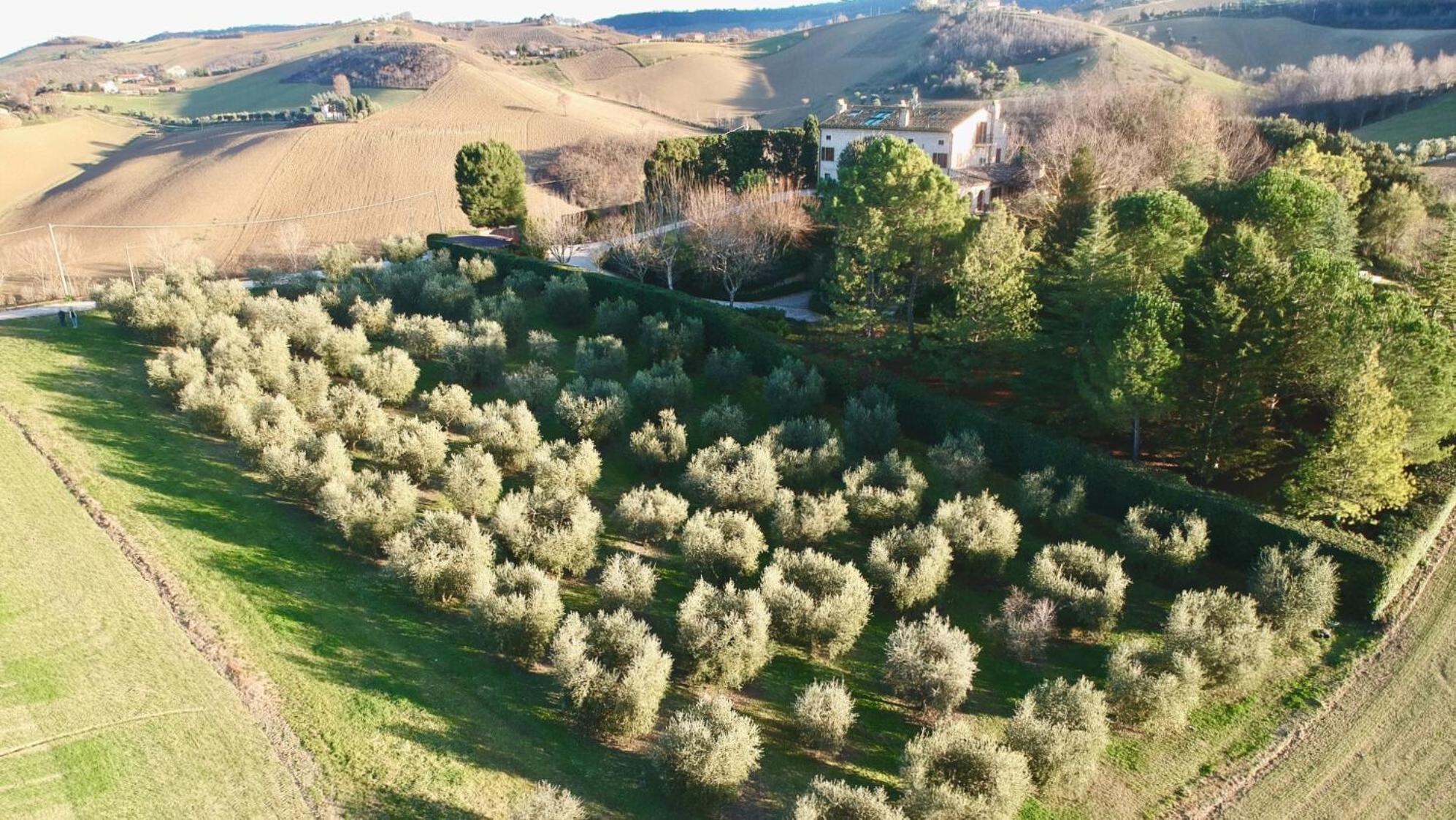 Monterosato Country House Ponzano di Fermo Exterior photo